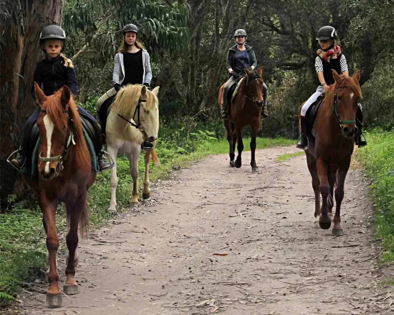 Passeio a cavalo — Foto 1 de 2