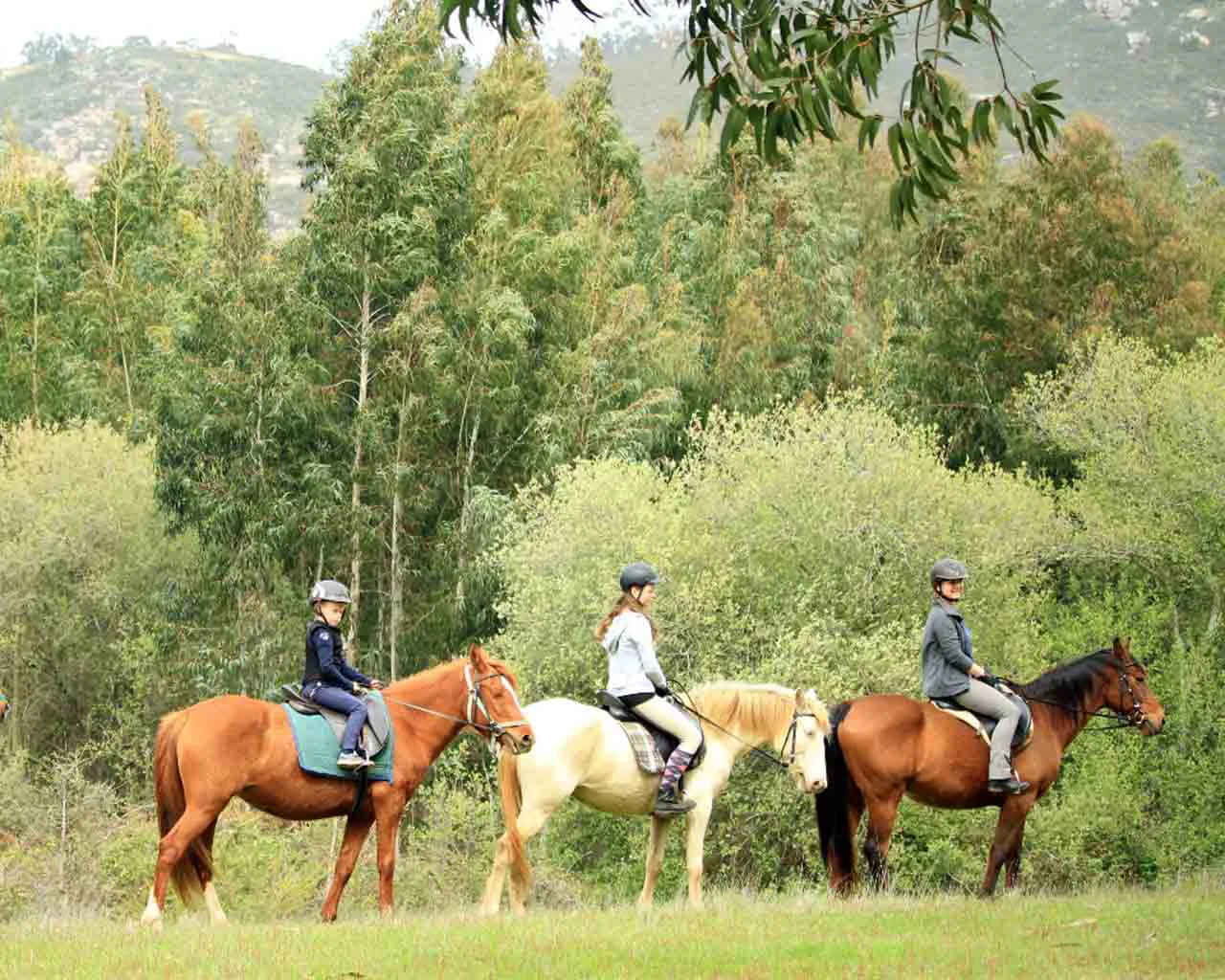 Passeio a cavalo — Foto 2 de 2